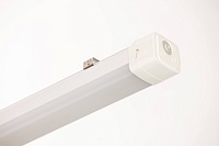 DCW117 Xtrude Slim Low Voltage